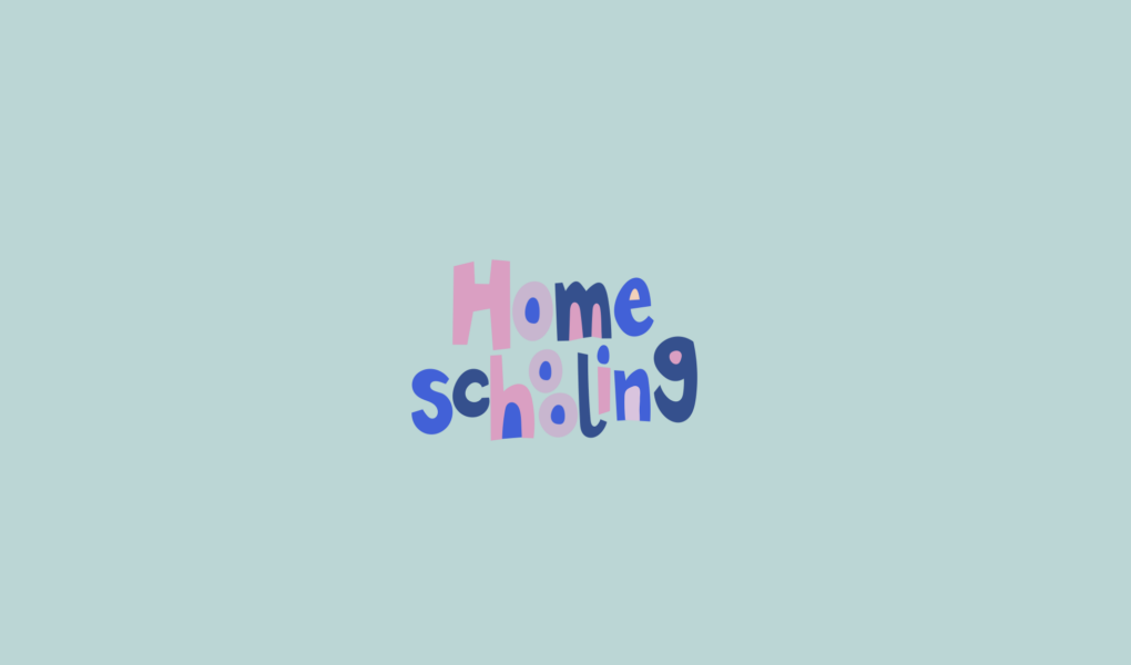 Homeschooling, Werken, für Fachlehrer und Kreative, Fachlehrer Ernährung und Gestaltung, Textiles Gestalten, Handarbeit, Werkunterricht, Unterricht, Anleitungen,